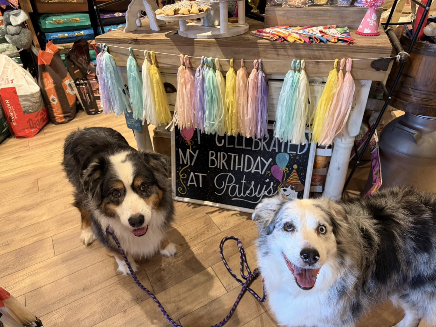 Happy 15th Birthday to Vixen & Baloo!... - Patsy's Pet Market | Facebook
