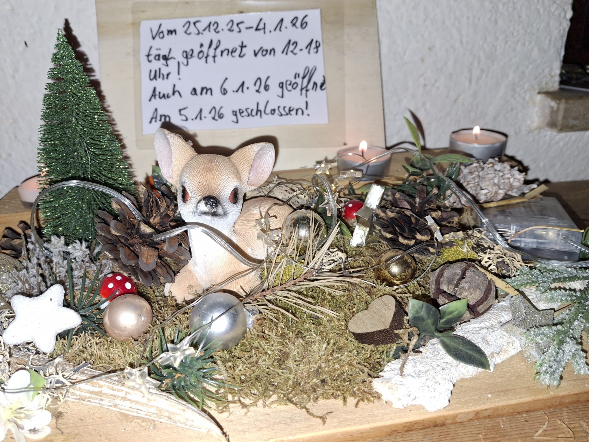 Kartenlegerin mit hoher Trefferquote ist täglich am Telefon