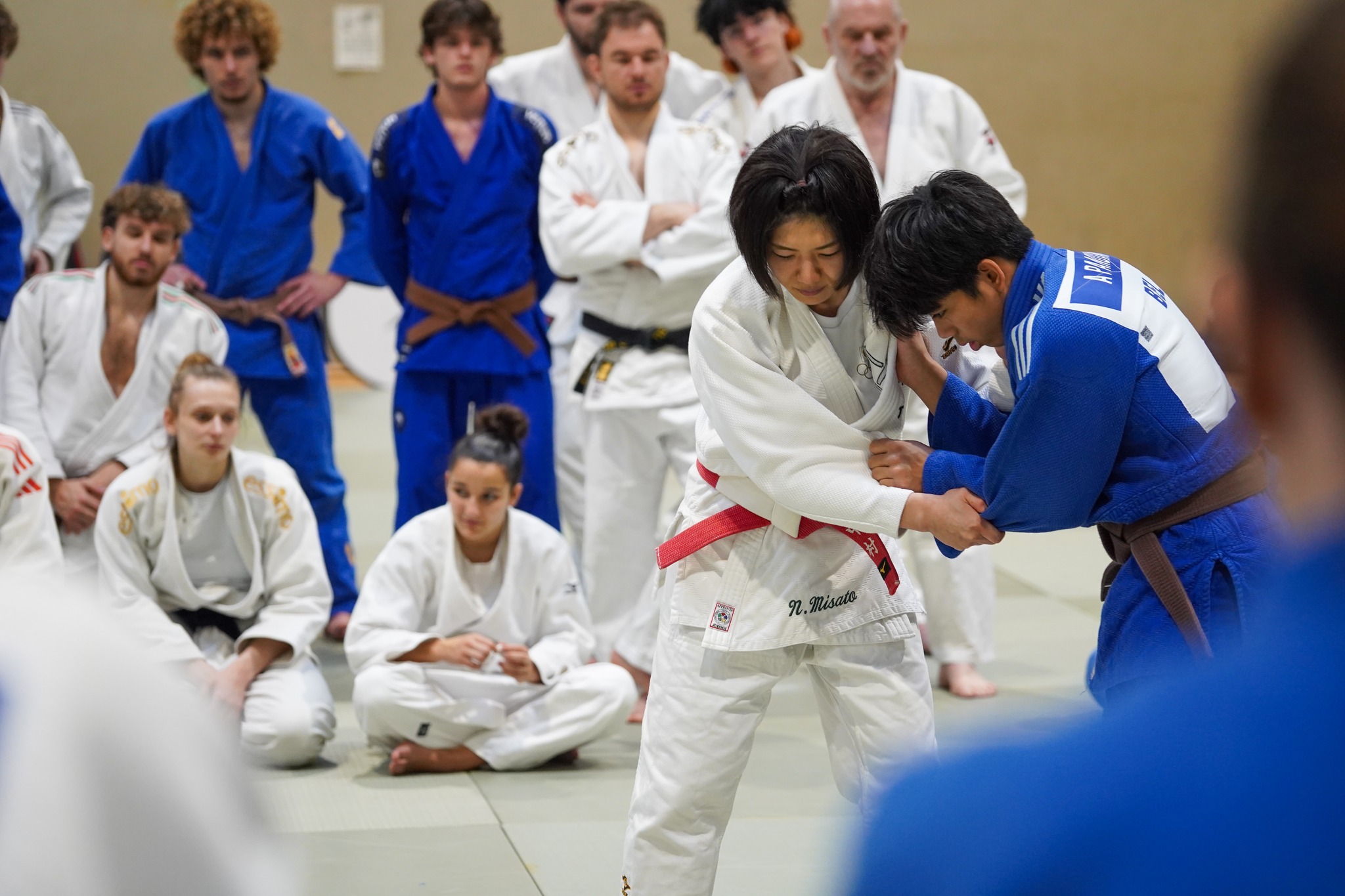 Judo Wallonie Bruxelles - EJU Kata Marcel Clause 2017 - FFBJ recherche ...