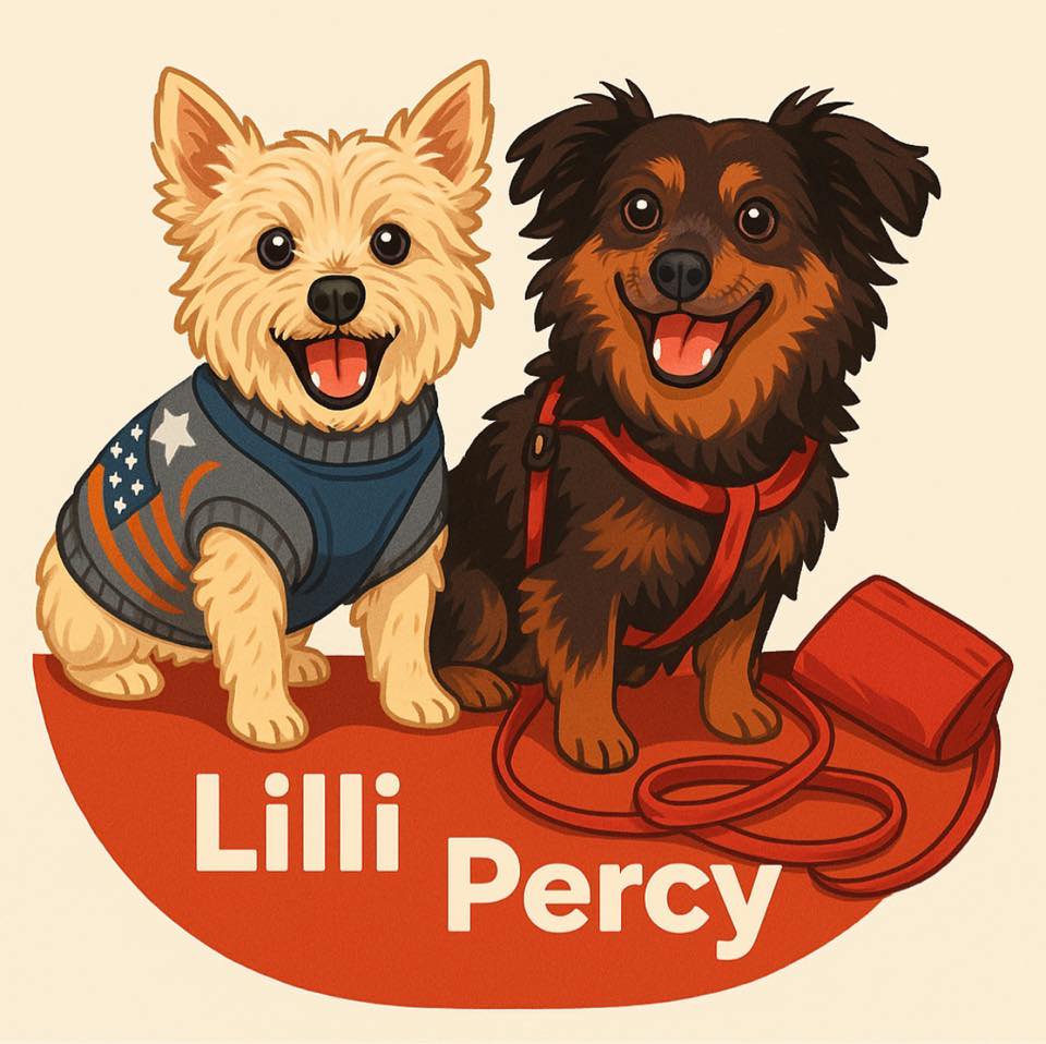 Mei... - Mein leben als Hund - Die Wirbelwinde Percy und Lilli
