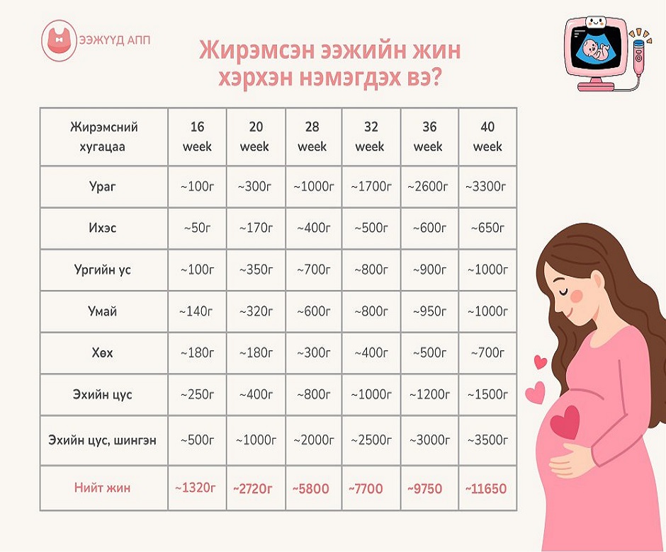 Ээжүүд - Доорх зураг нь 1 ураг тээж байгаа үед нэмж болох биеийн ...