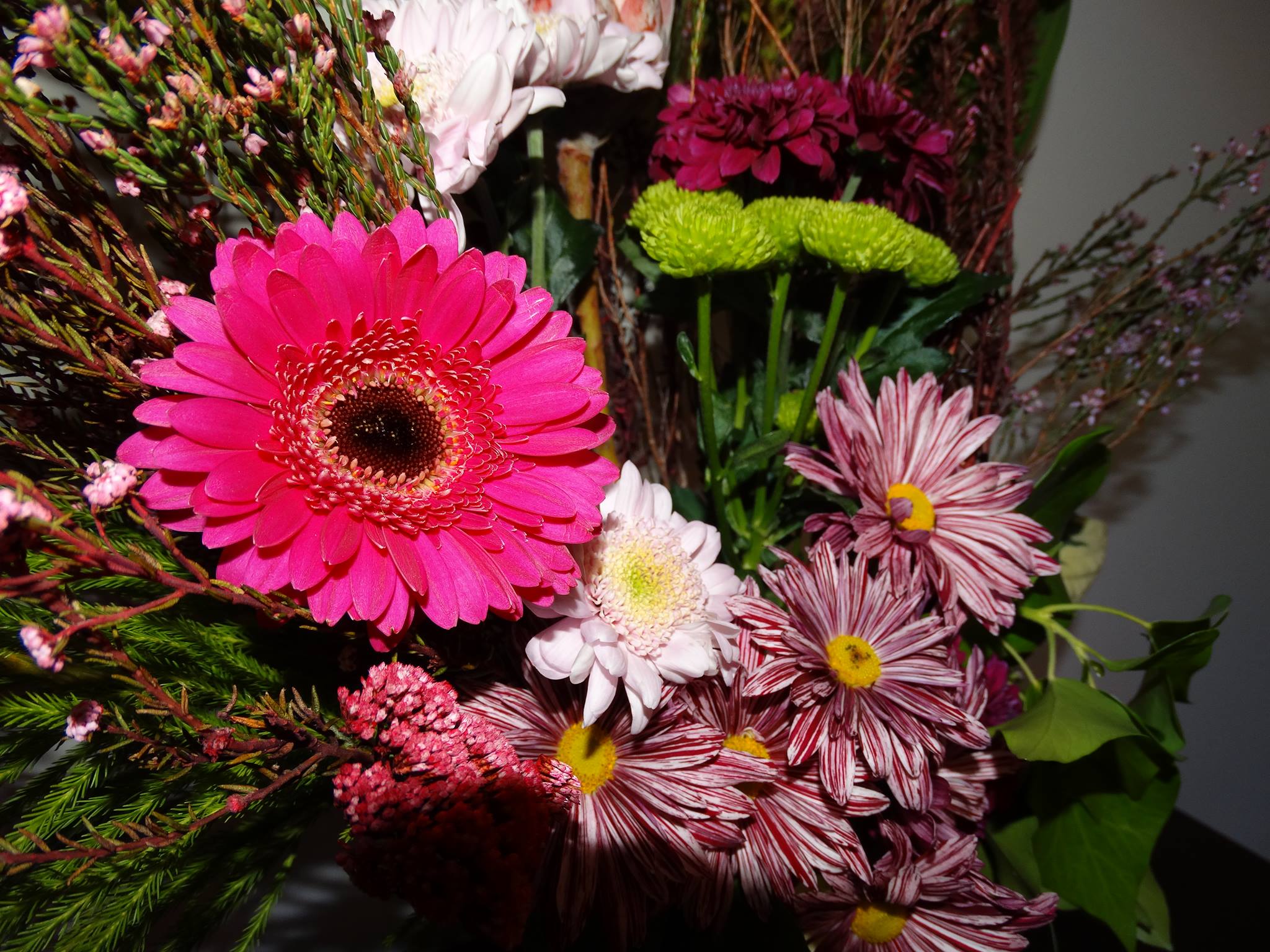 Lily Lane Flowers Moneymore