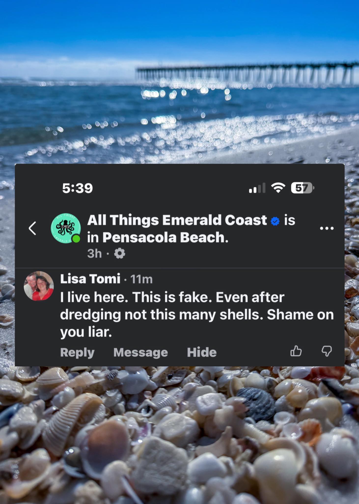 Why would I lie about seashells... - All Things Emerald Coast | Facebook