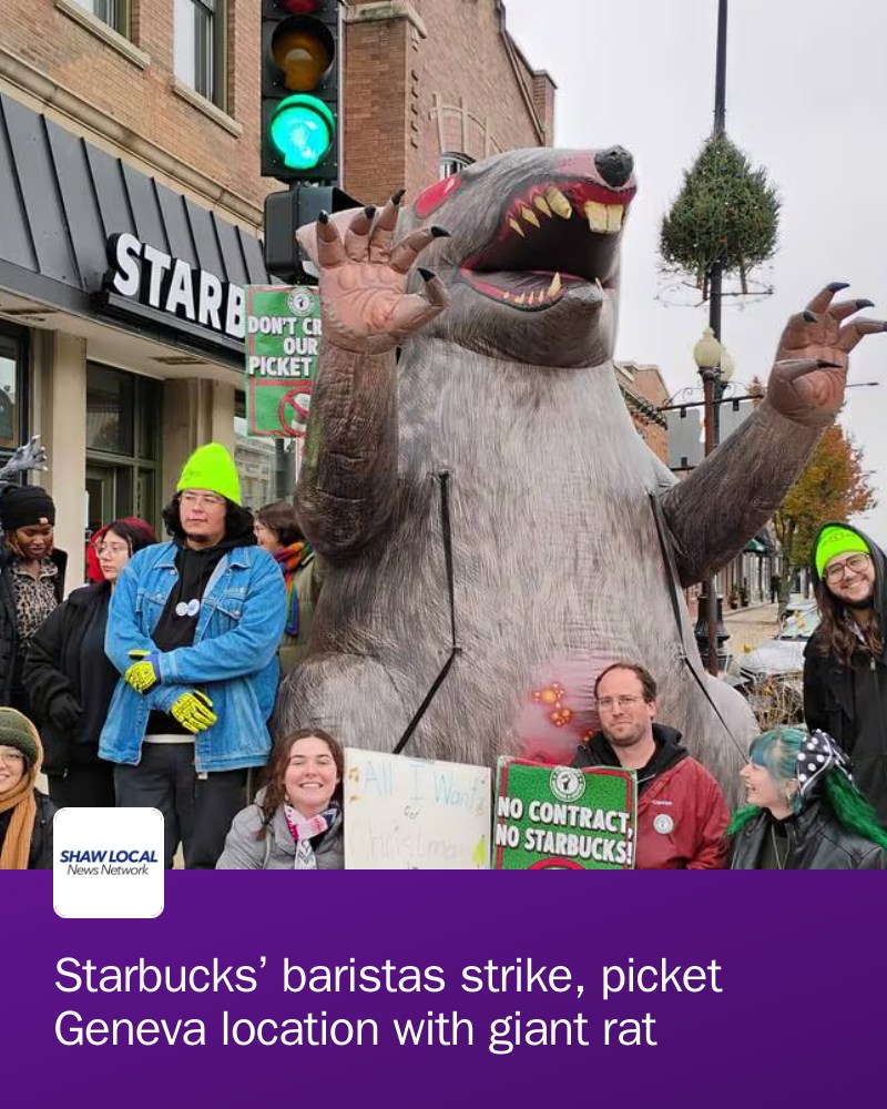 Kane - A dozen Starbucks baristas on strike picketed a location in ...