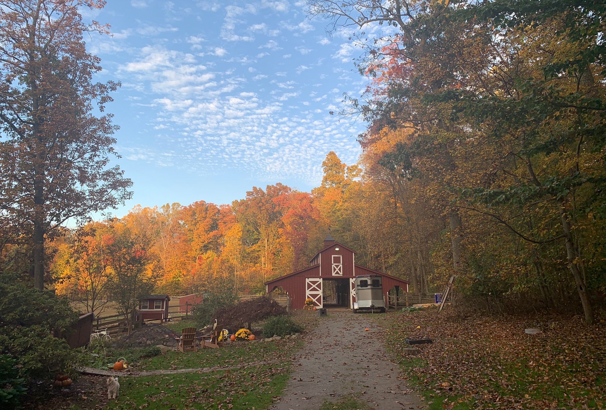 Jasper Ridge Farm added a new photo —... - Jasper Ridge Farm
