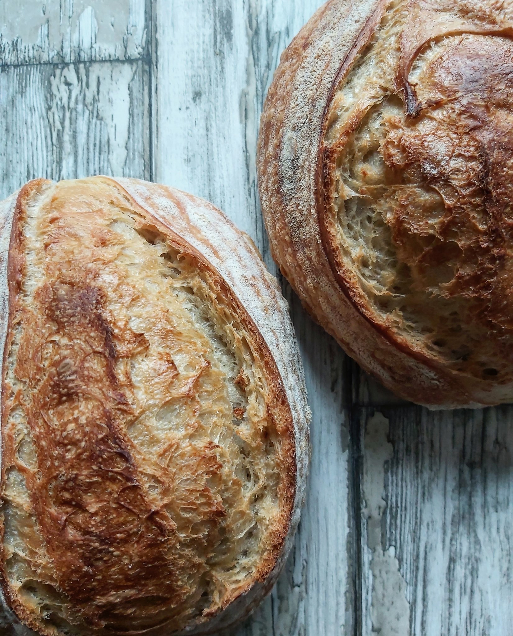 River Bakery | Wells