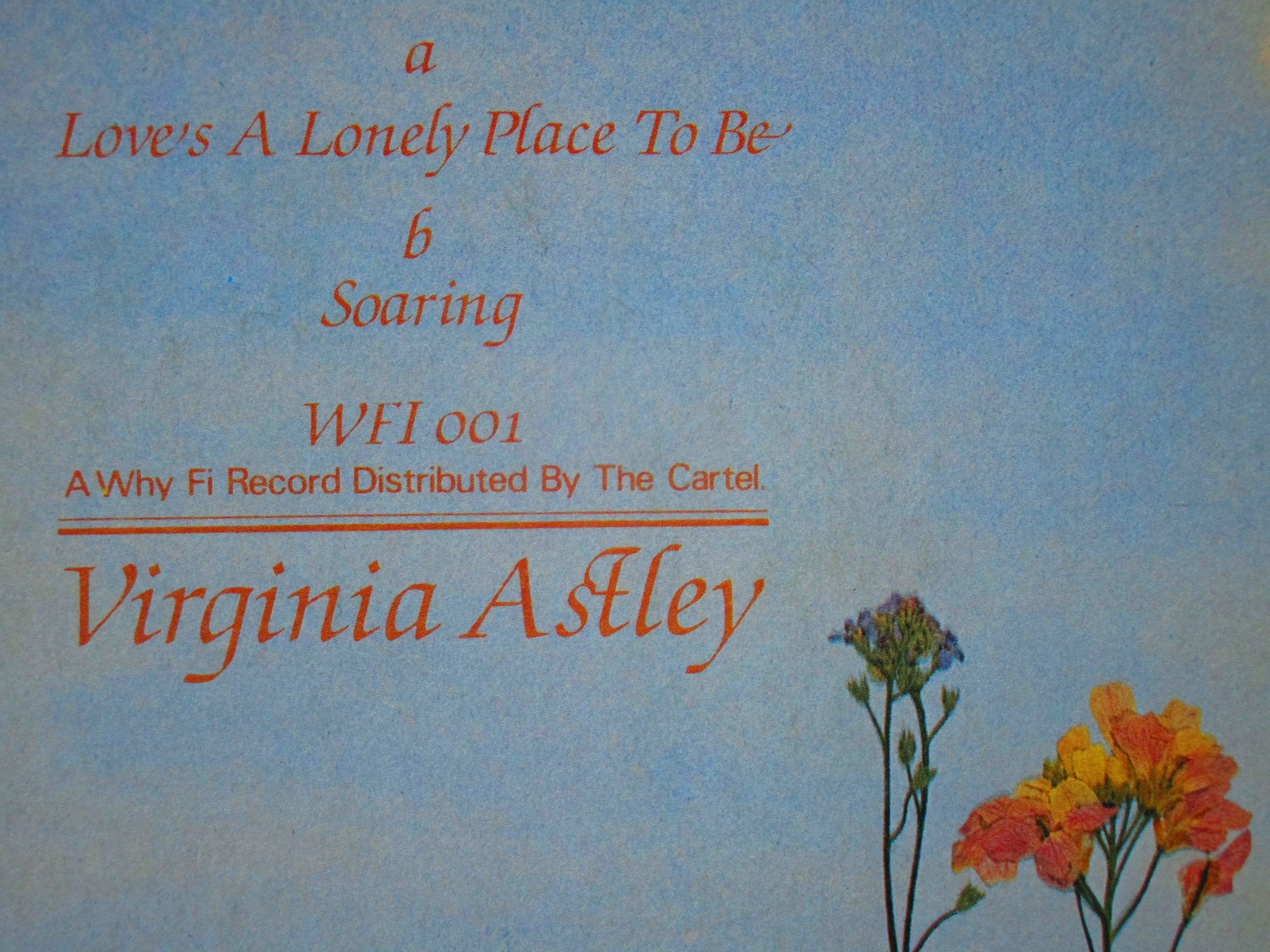 Virginia Astley - From Gardens Where We Feel Secure 1983 , Rough Trade