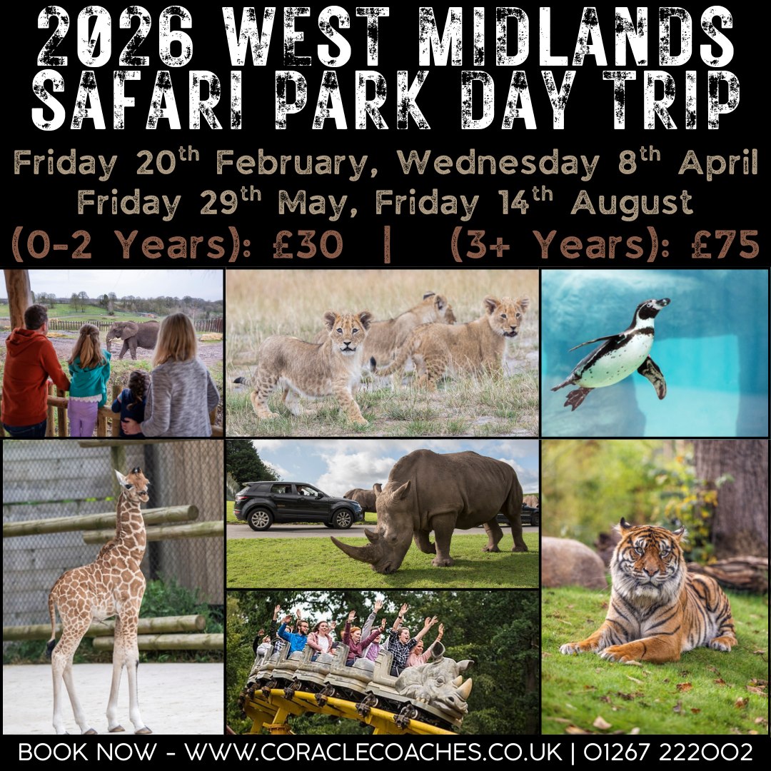 coracle-west-midlands-safari-park-day-trip-join-us-for-a-wild