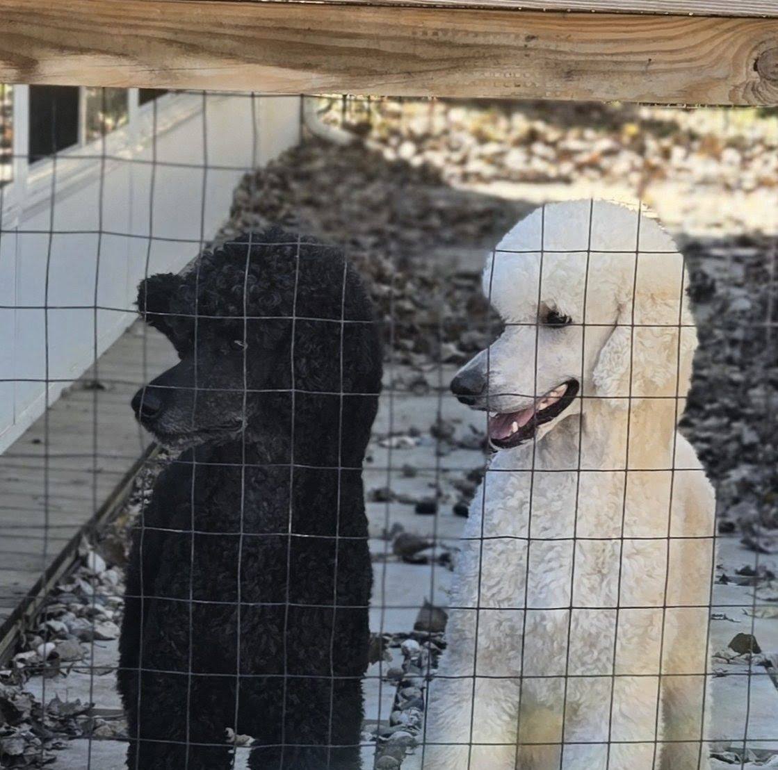 Bill and I are headed back home... - Jill R. Smith Gilbert | Facebook