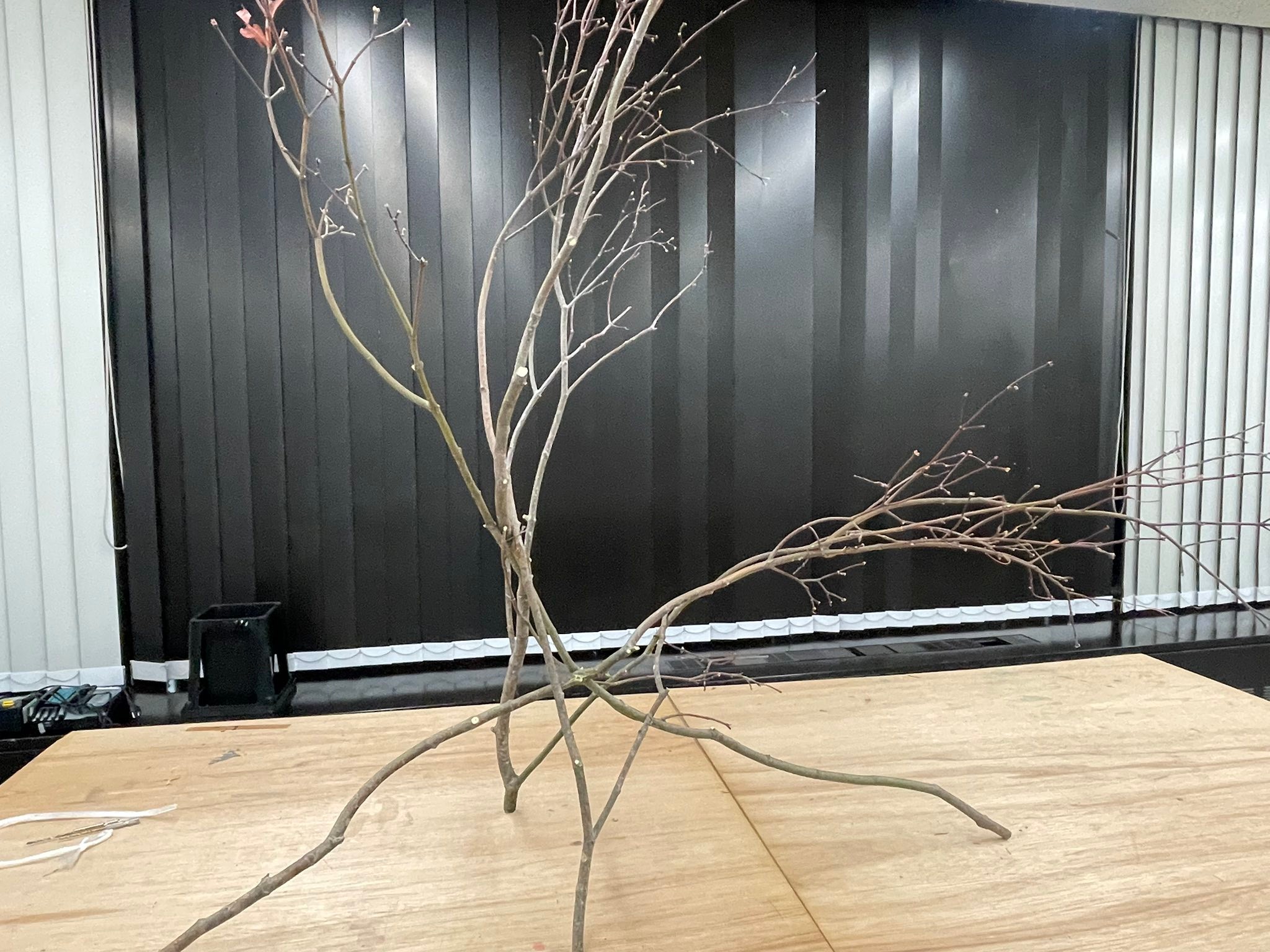 夏妙然 - 5-14 樹木的構造及其擴展 Tree Structure & it’s Expansion 木の構成とその展開 先設計及做木的架 ...