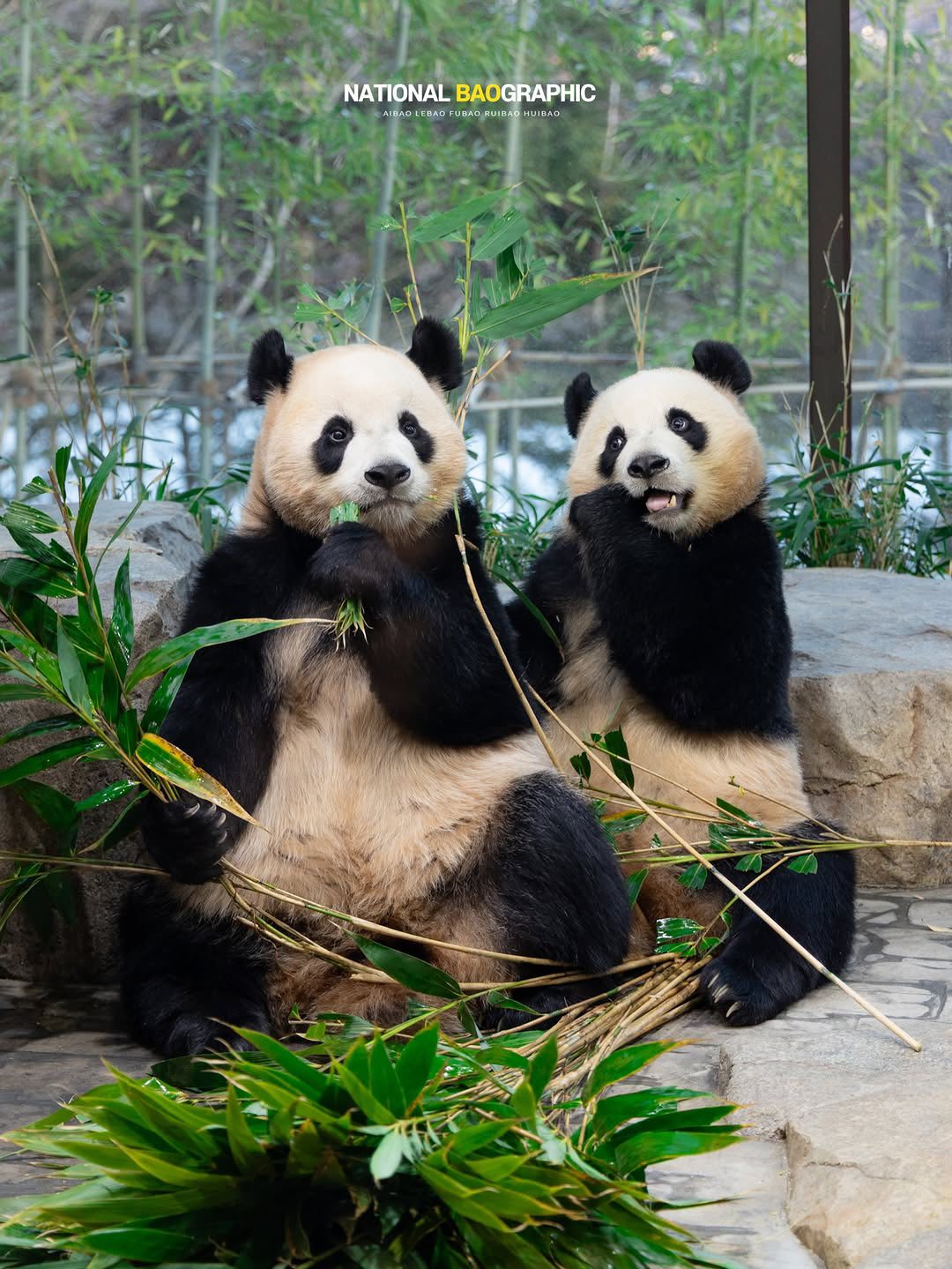 Rui Hui đáng yêu added a new photo. - Rui Hui đáng yêu