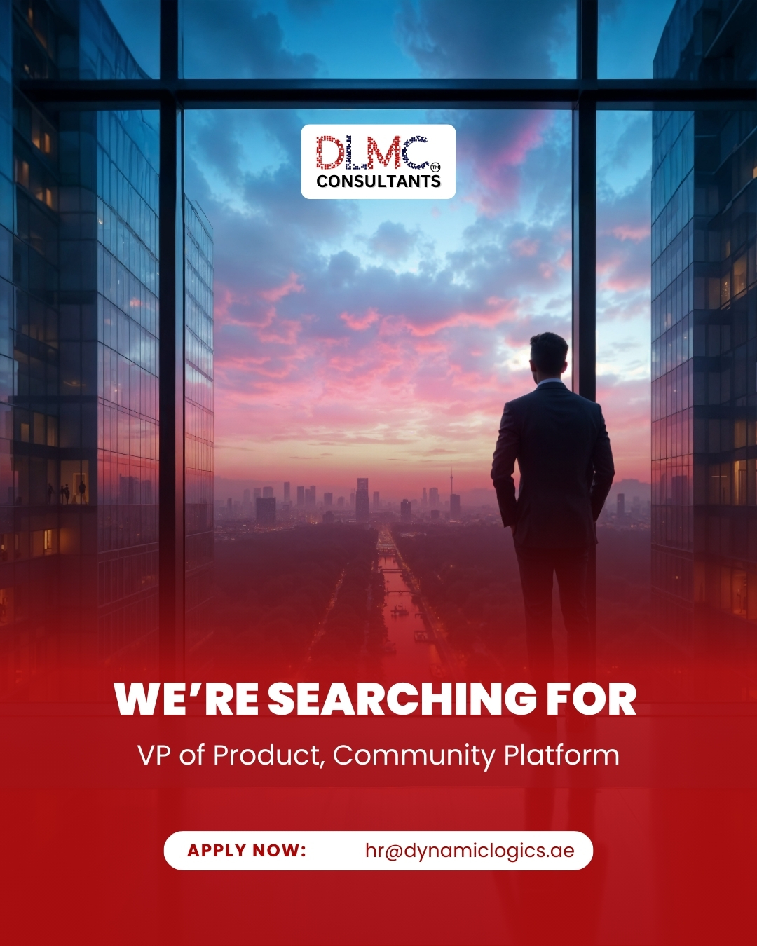 We’re on the lookout for a VP of... - DLMC Consultants | Facebook