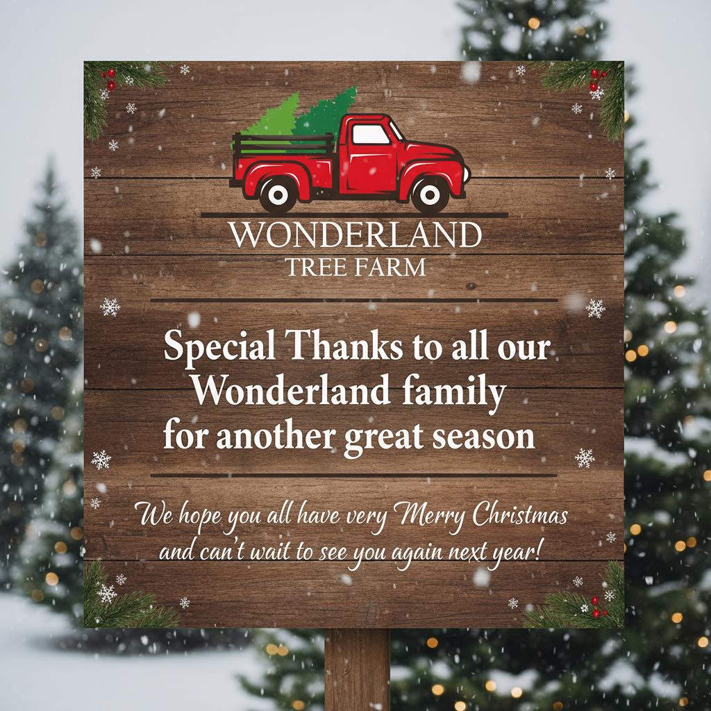 Wonderland Christmas Tree Farm | Pea Ridge AR