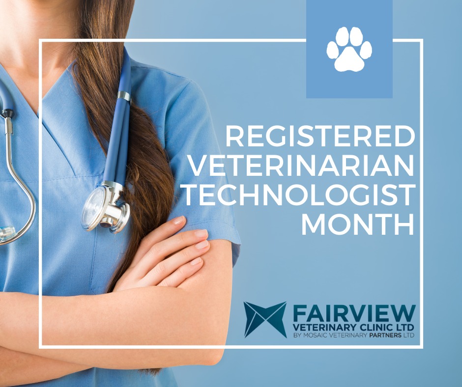 October is RVT month! What... - Fairview Veterinary Clinic | Facebook
