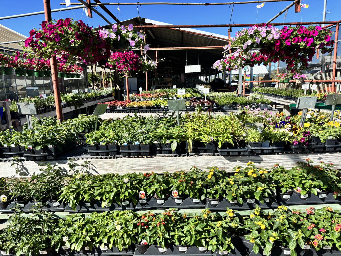 Greengate Garden Center | Lake Charles LA