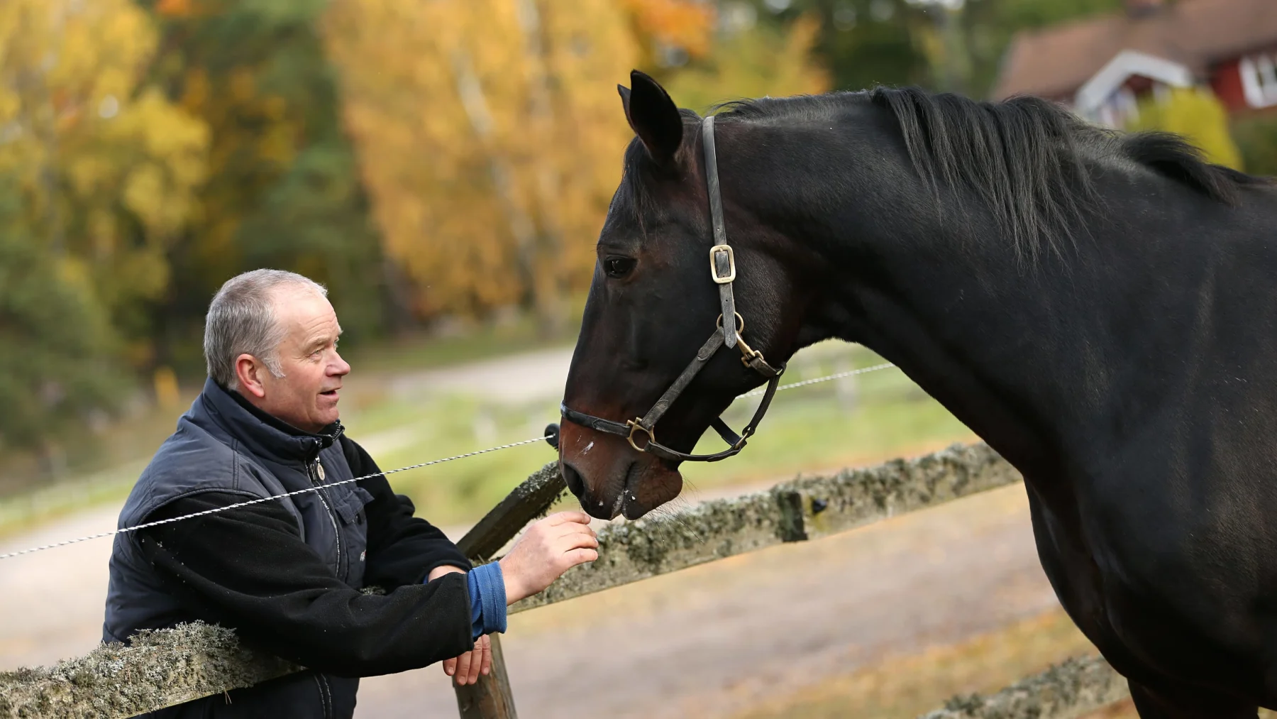 Travnyheter | DÖDSFALL. Sprang världsrekord och tjänade över tio ...