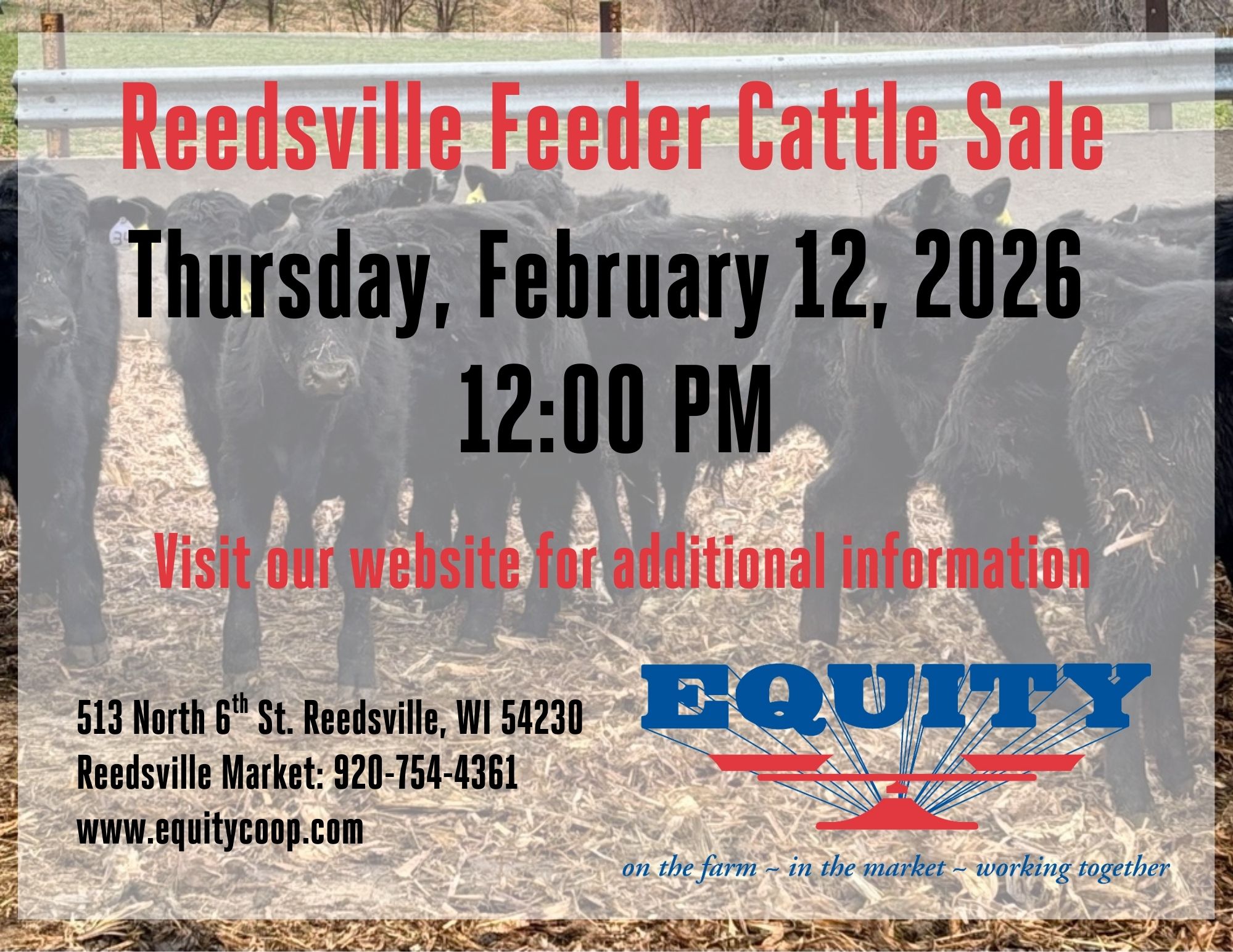 Equity's Reedsville Market will be having a Feeder Cattle Sale
