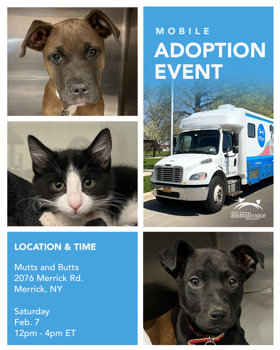 North - 🐾 Find Your New Best Friend in Merrick! 🐾 Our (heated) Mobile ...