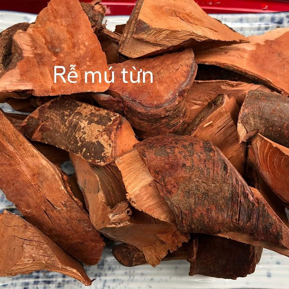 Rễ mú từn . Đặc sản tây bắc 0399.084.326 Zalo | Facebook
