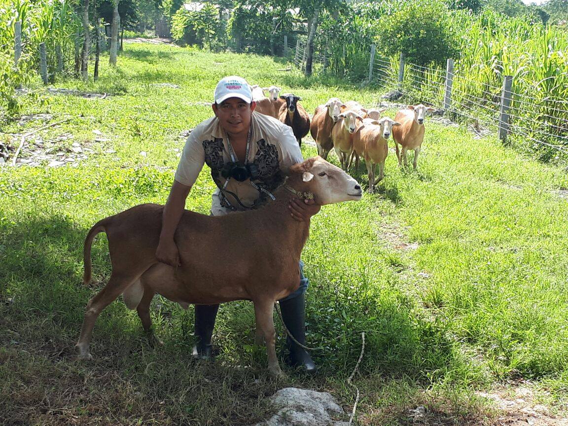 Rancho - PAQUETE DE INICIO: Actualmente en apoyo a pequeños ranchos de ...