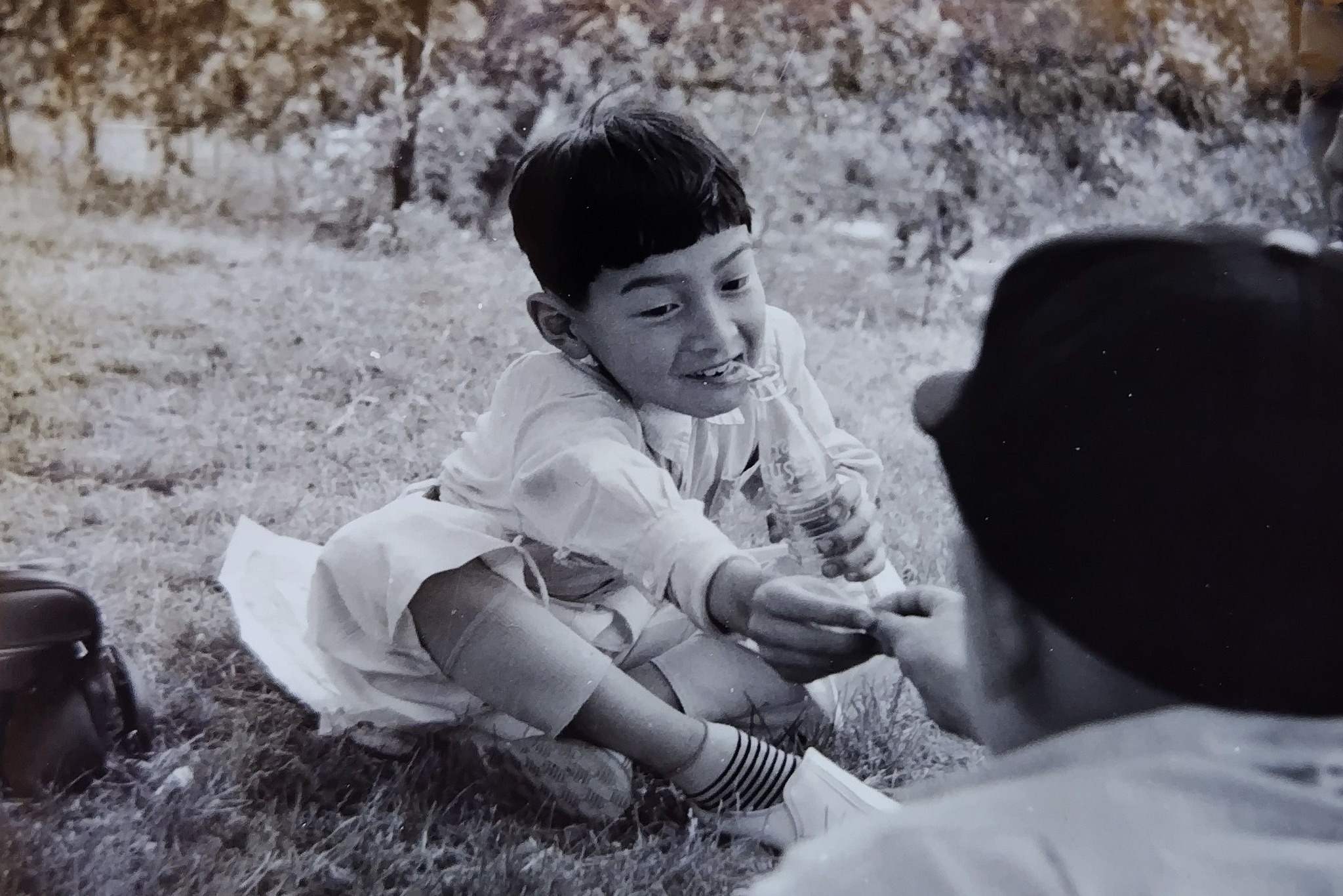 プラッシー(1959年)