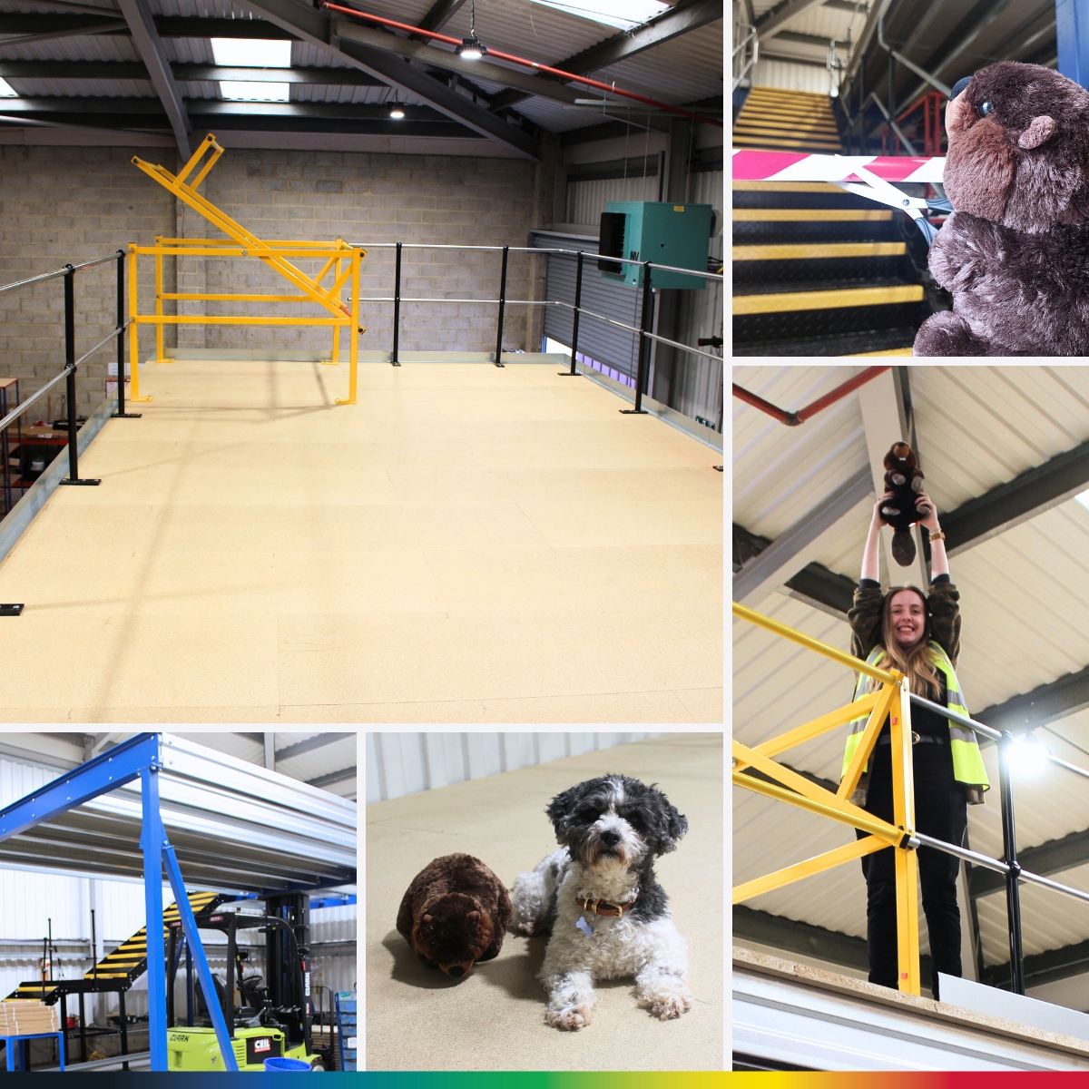 Image showcasing Image result for Compact dog mezzanine