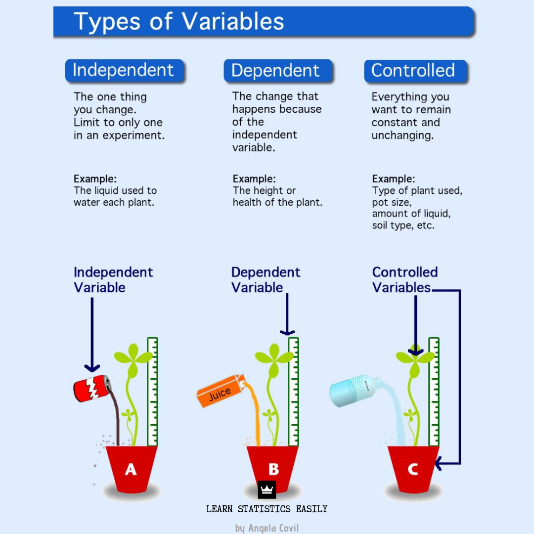 👑 Types of Variables 📊 Learn... - Learn Statistics Easily