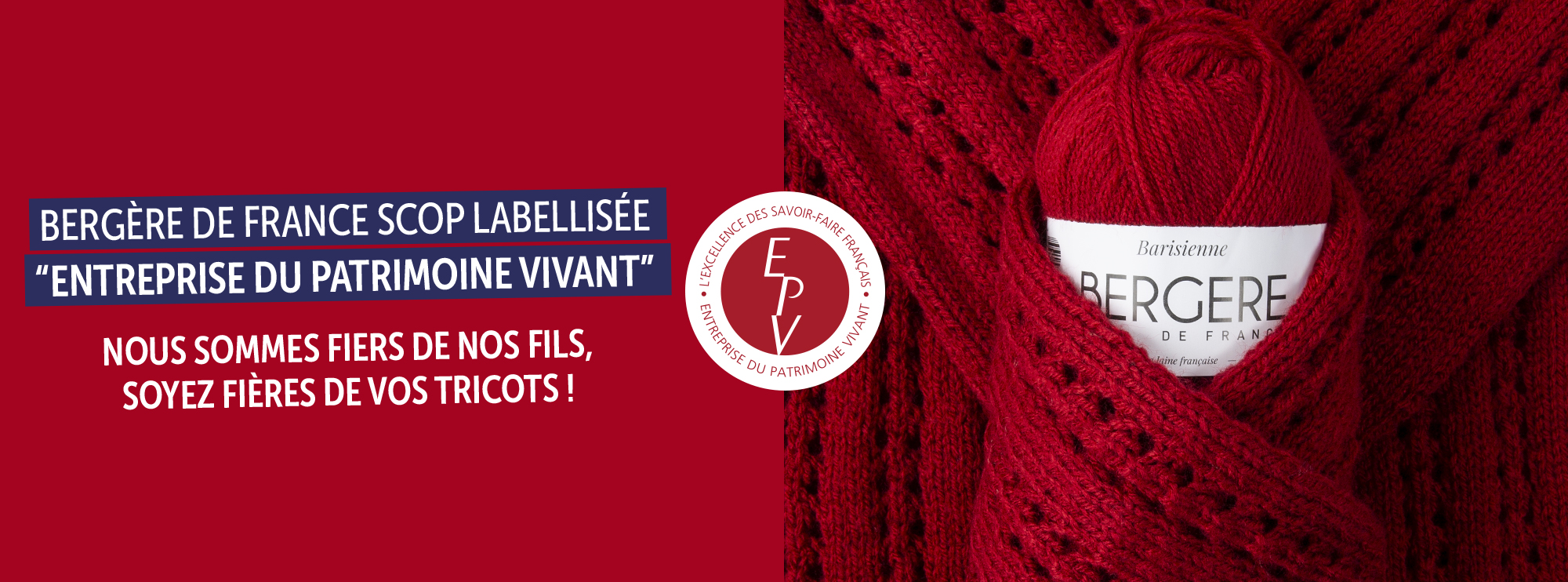 Livre De Tricot Bergère De France - 20 Modèles Femme En Fils D'exception - Occasion