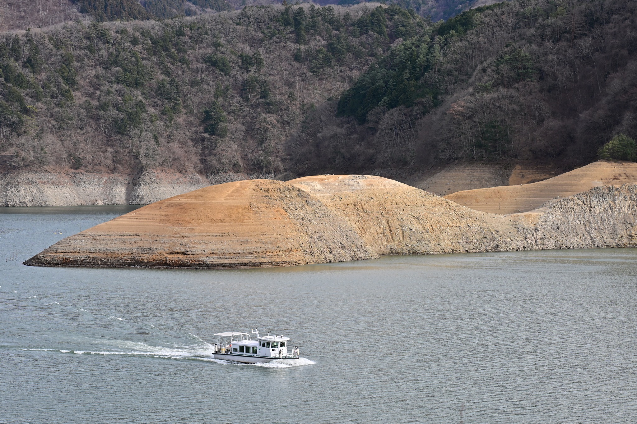 小河内 ダム 貯水 率 リアルタイム