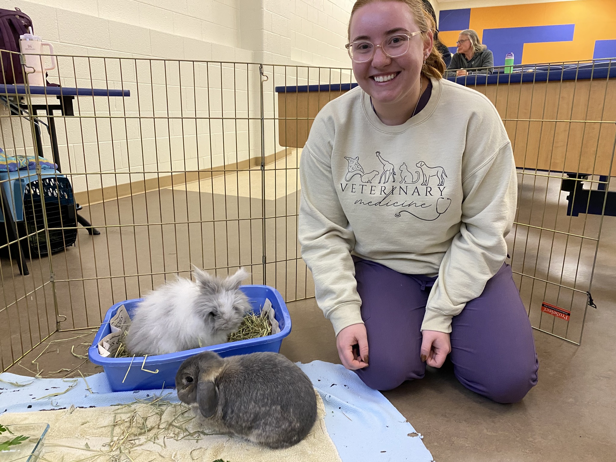 Gainesville Rabbit Rescue - Our largest and one of our longest girls in ...