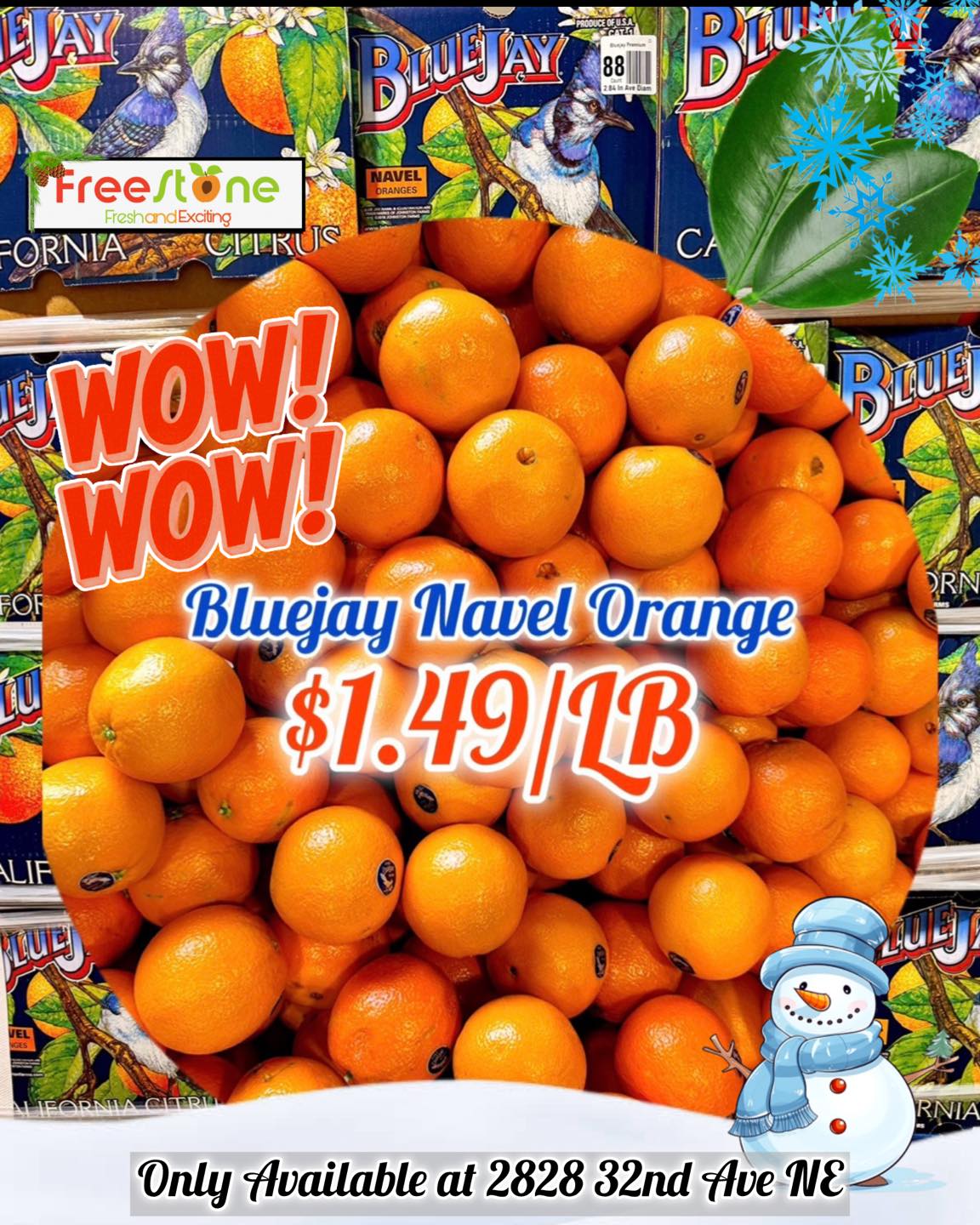 Sweet Bluejay Orange ‼️ Saturday January 17th - Sunday January