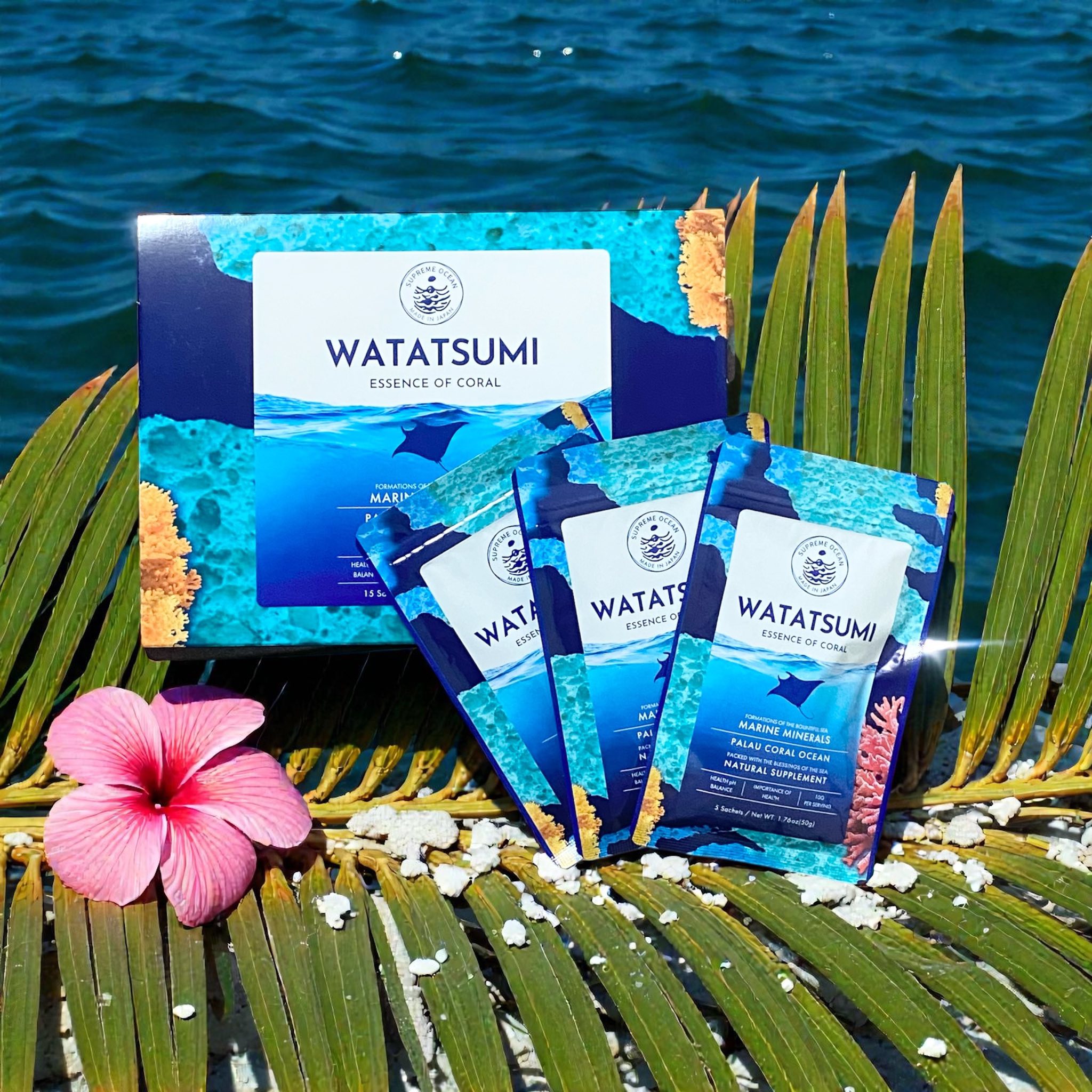 タイアップ投稿 WATATSUMI パラオの堆積サンゴ由来のソマチッド、海洋 