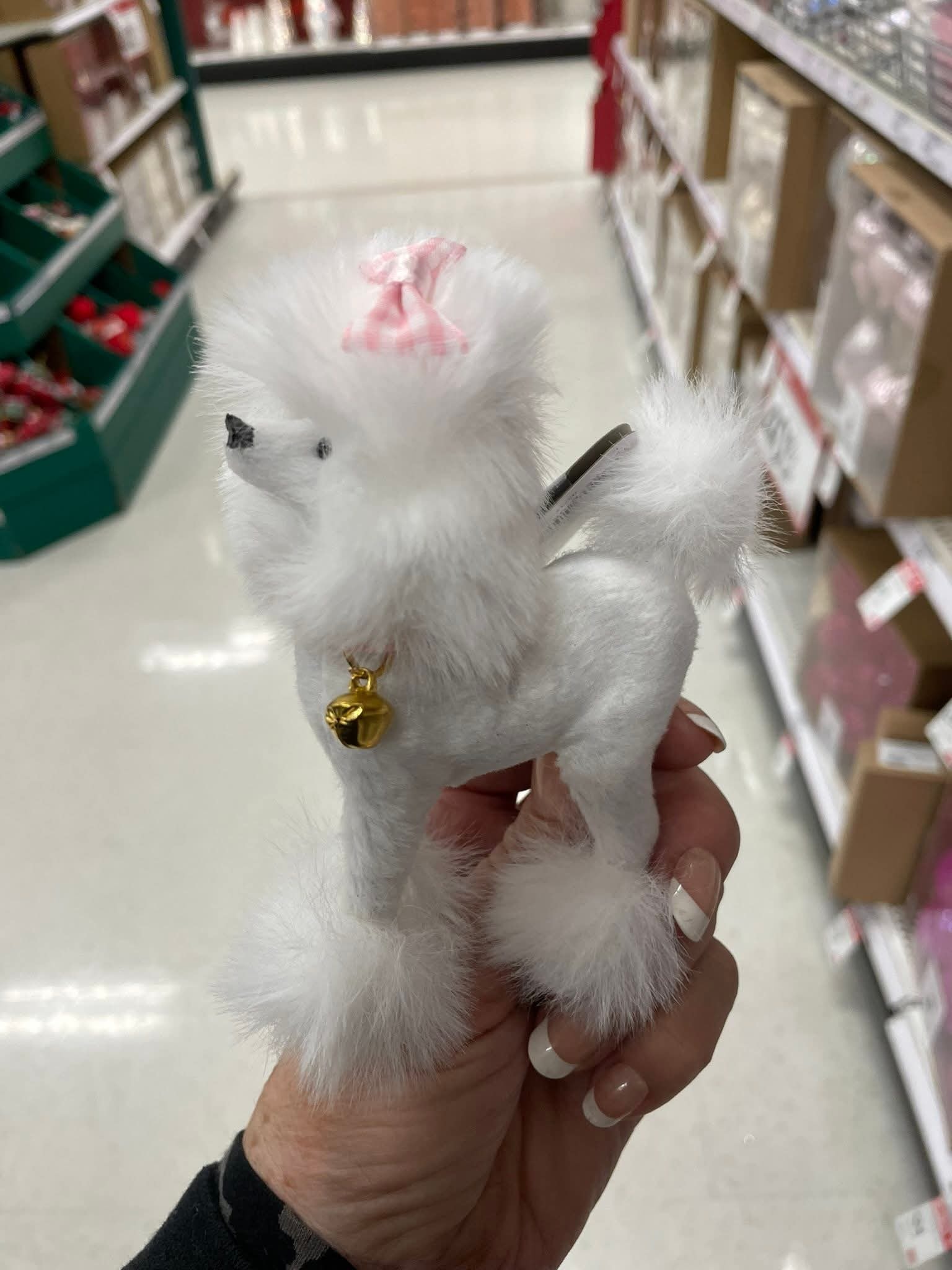 Target - Kim's Standard Poodles | Facebook