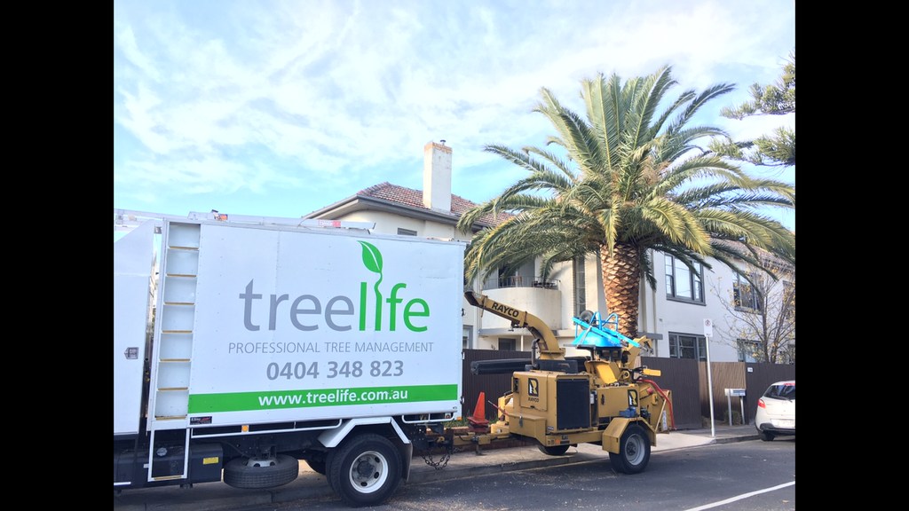 Treelife - Tree Removal Melbourne | Ferntree Gully VIC