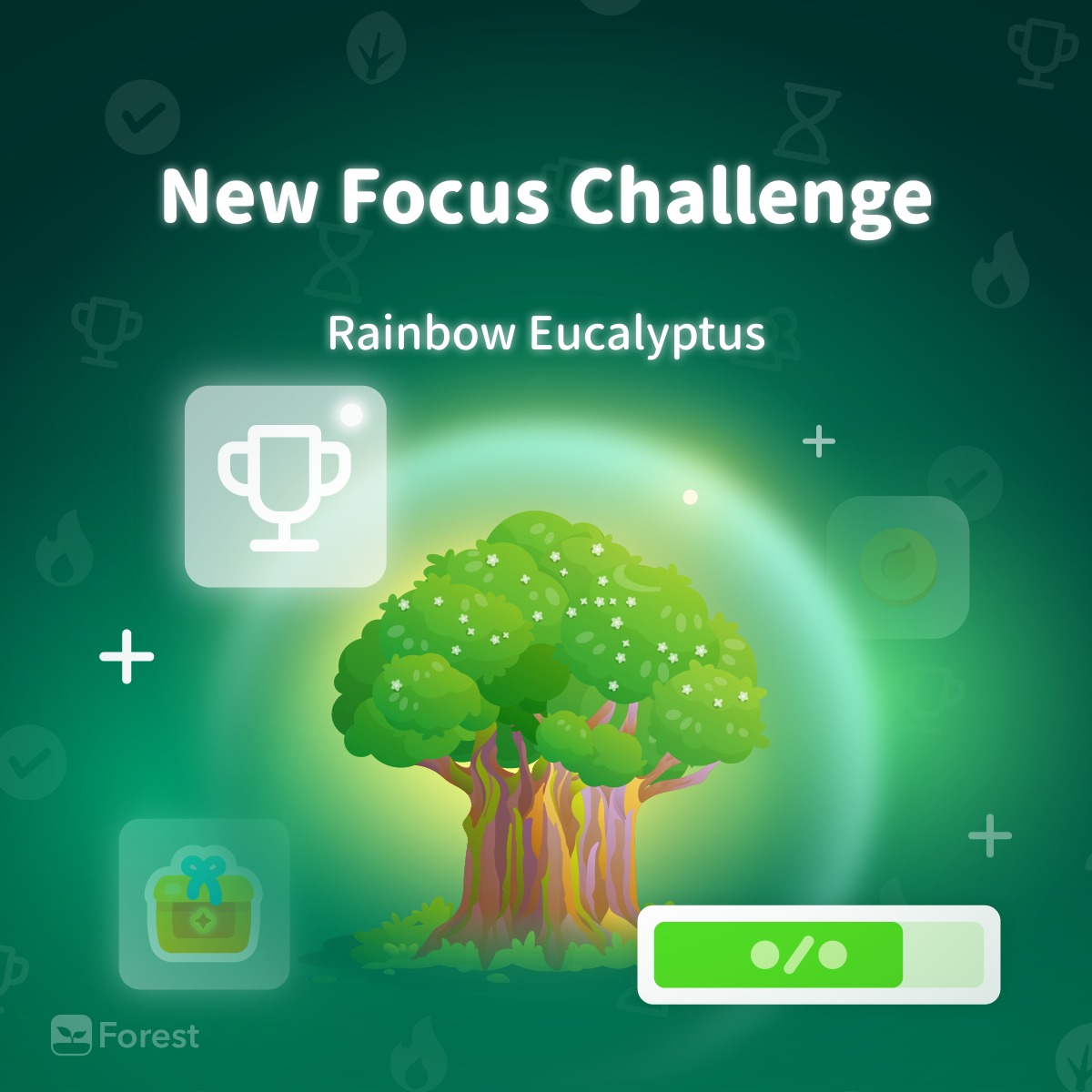 Forest - 🌈 December Focus Challenge: Unlock the Rainbow... | Facebook
