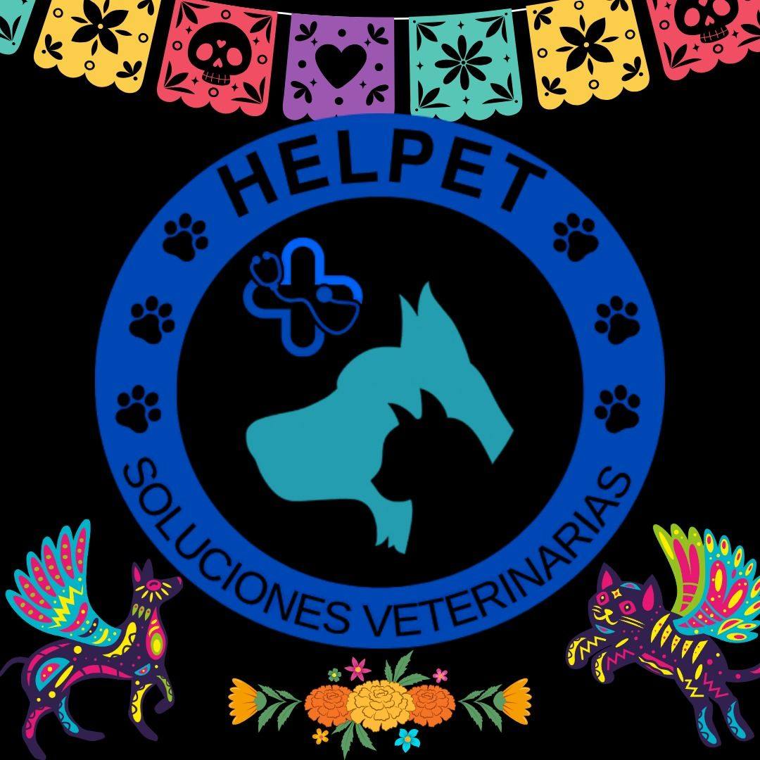 Helpet Veterinaria - ¿Vas a viajar con tu lomito o michi? 👜 ️💁‍♀️ En ...
