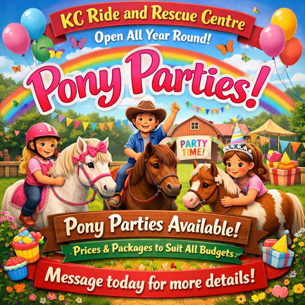 KC Riding... - KC Riding School. Supporting Kc horse rescue