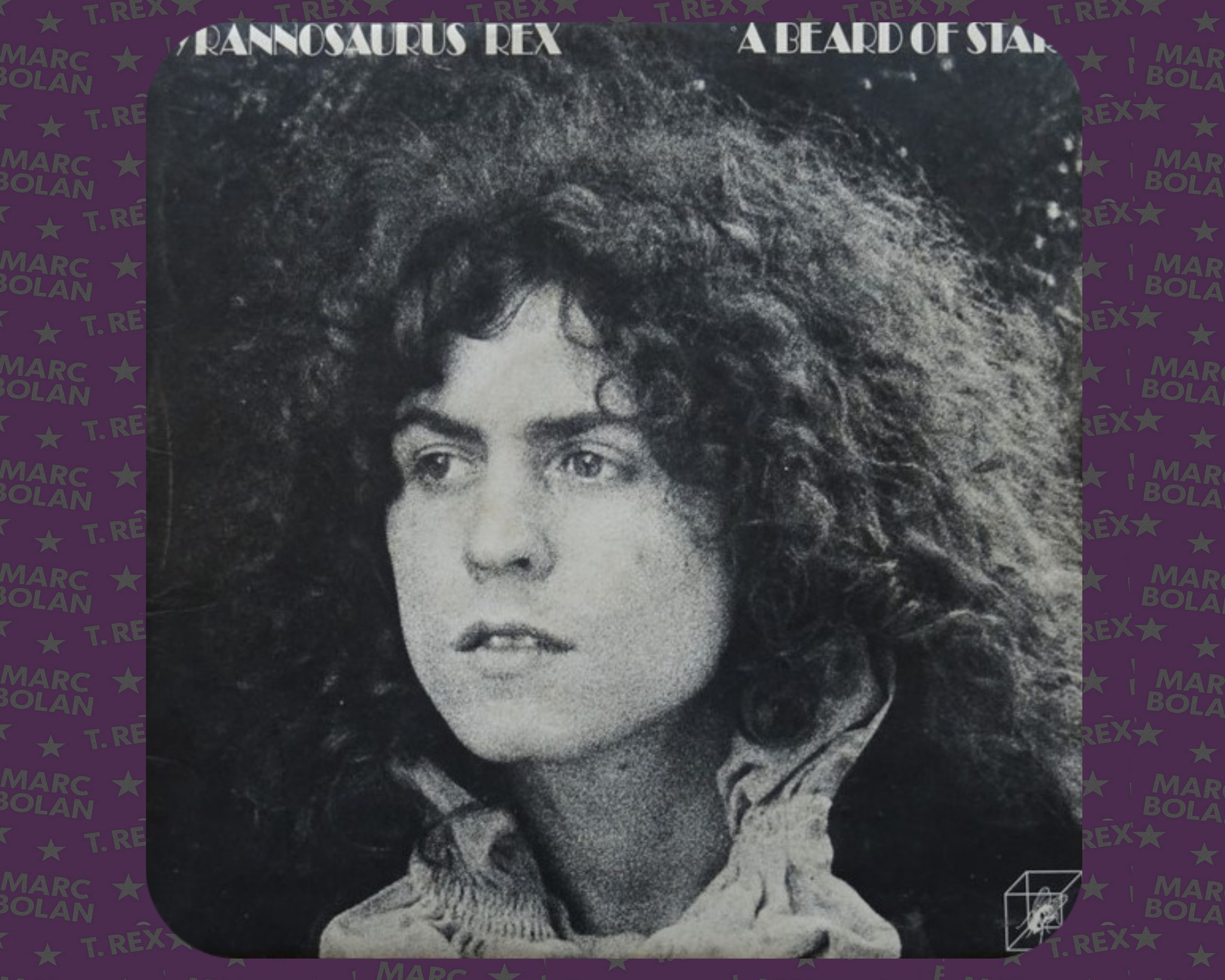 Found Tyrannosaurus Rex album A Beard of Stars