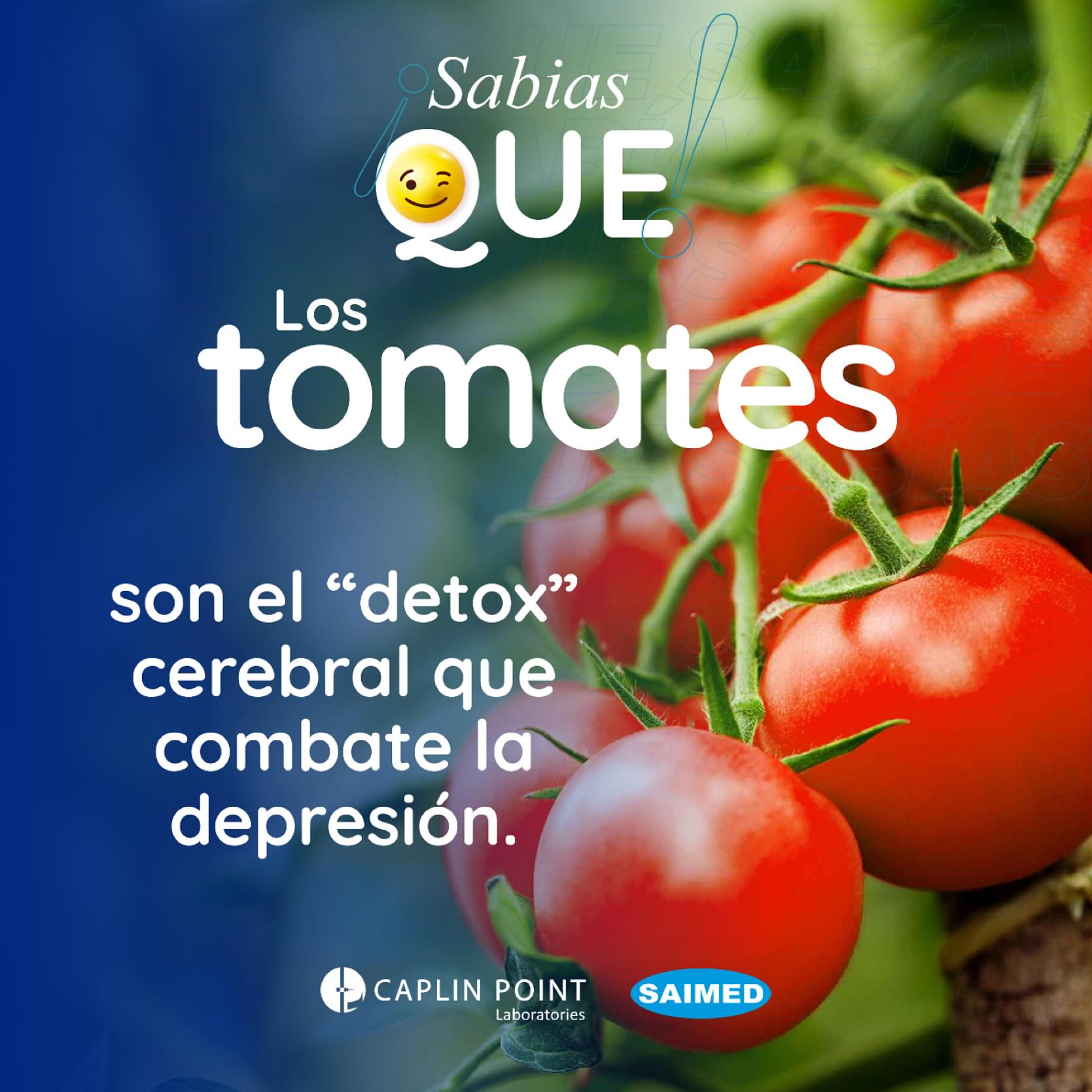Drogueria - El licopeno, pigmento que les da su color rojo, mejora la ...