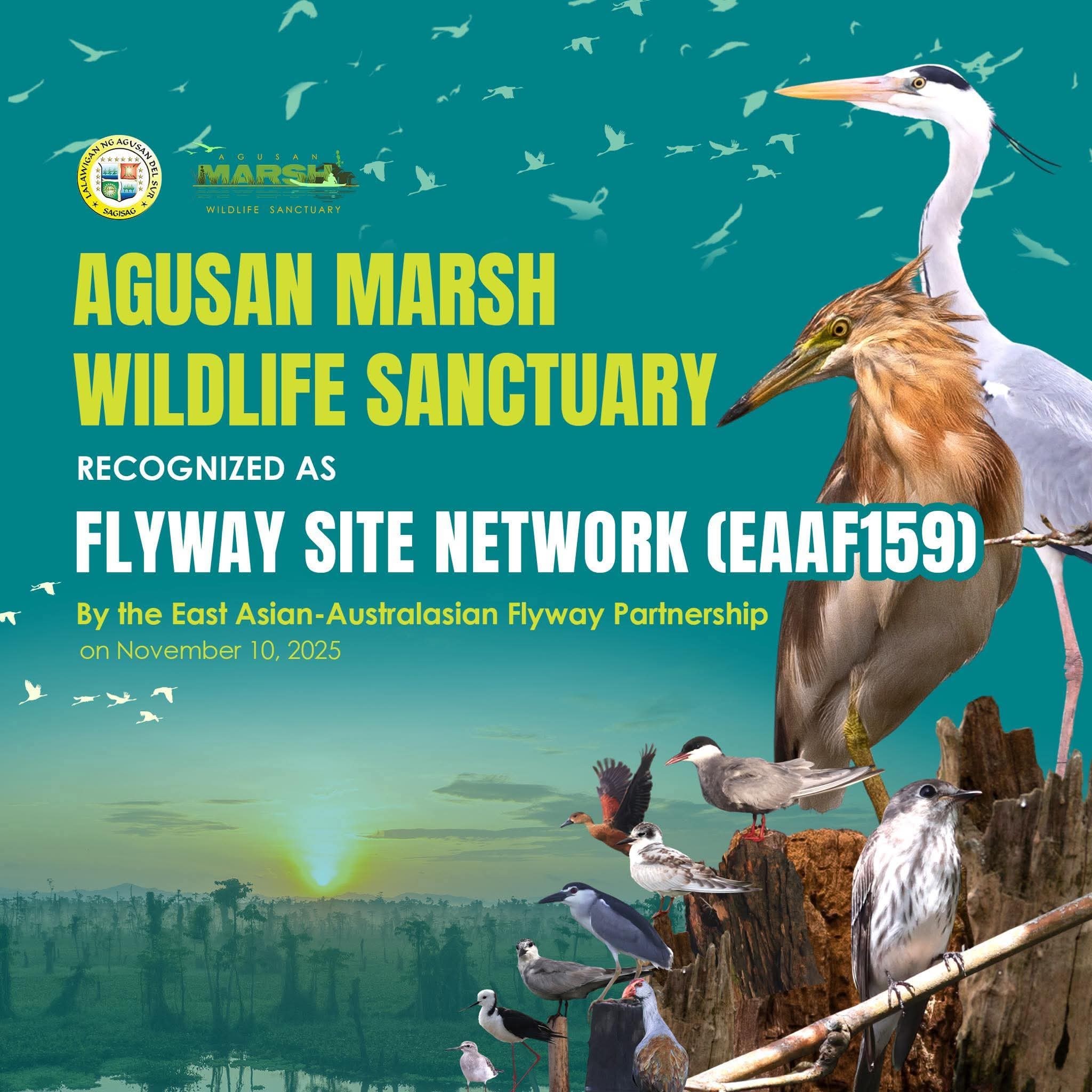 FLYWAY Fe PATROL ???? ??? ????? ?? ???????? 