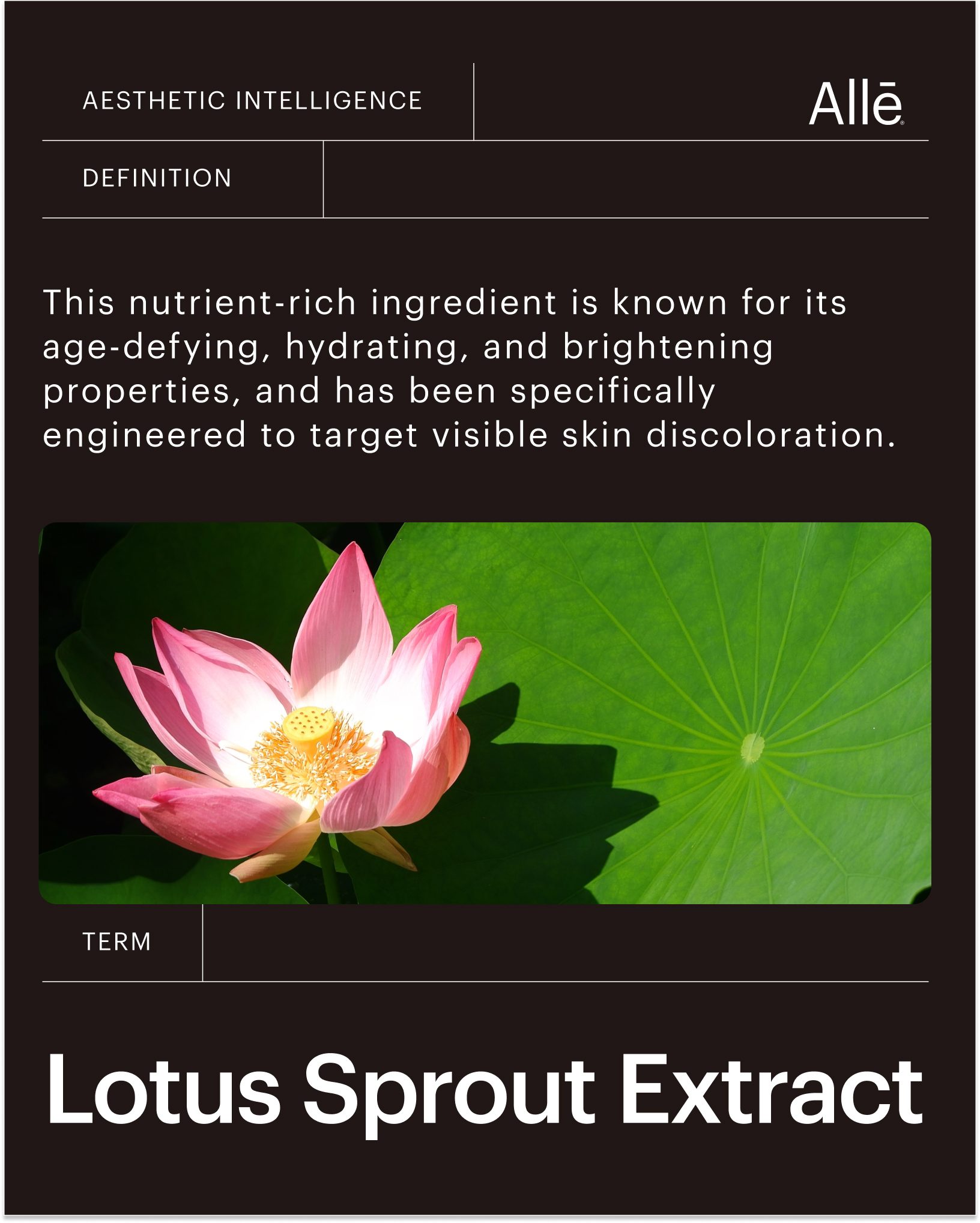boots luminese l-glutathione 🎯 Meet one of the targeted ingredients to address visible hyperpigmentation found in the SkinMedica® Even & Correct Collection: lotus sprout extract. This naturally derived key ingredient for skincare use has been Glutanex In-Shower Body Cream Glutathione result after 8 Scent:Matcha & Bergamot