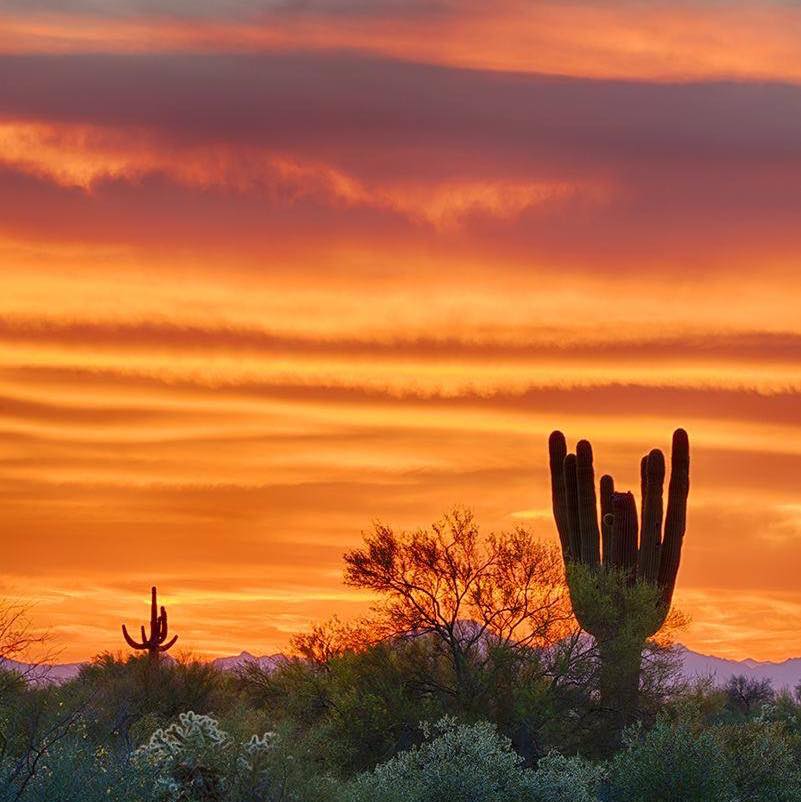 AZFamily’s First Alert Weather | Golden hour on Kingfisher Bridge, Red ...