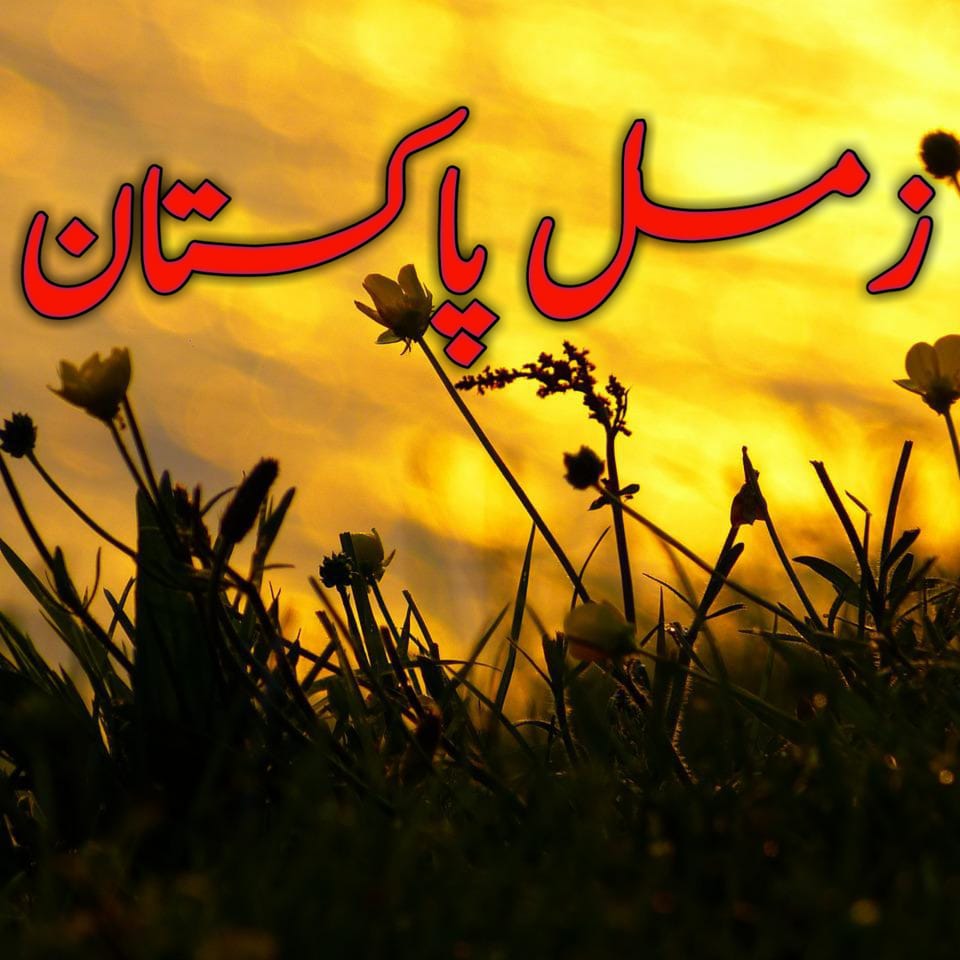 Zimal Pakistan | Facebook