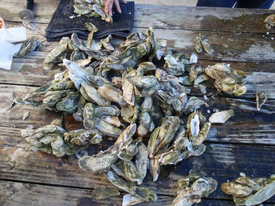 8th Annual Brick House Oyster Roast