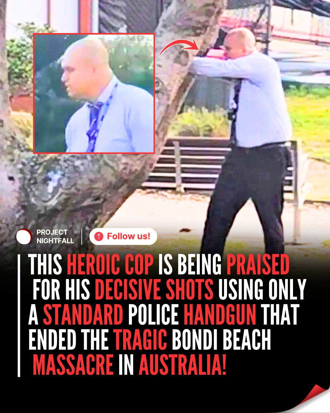 Project - MEET ANOTHER HERO IN THE BONDI BEACH ATTACK! 🙌 Detective ...