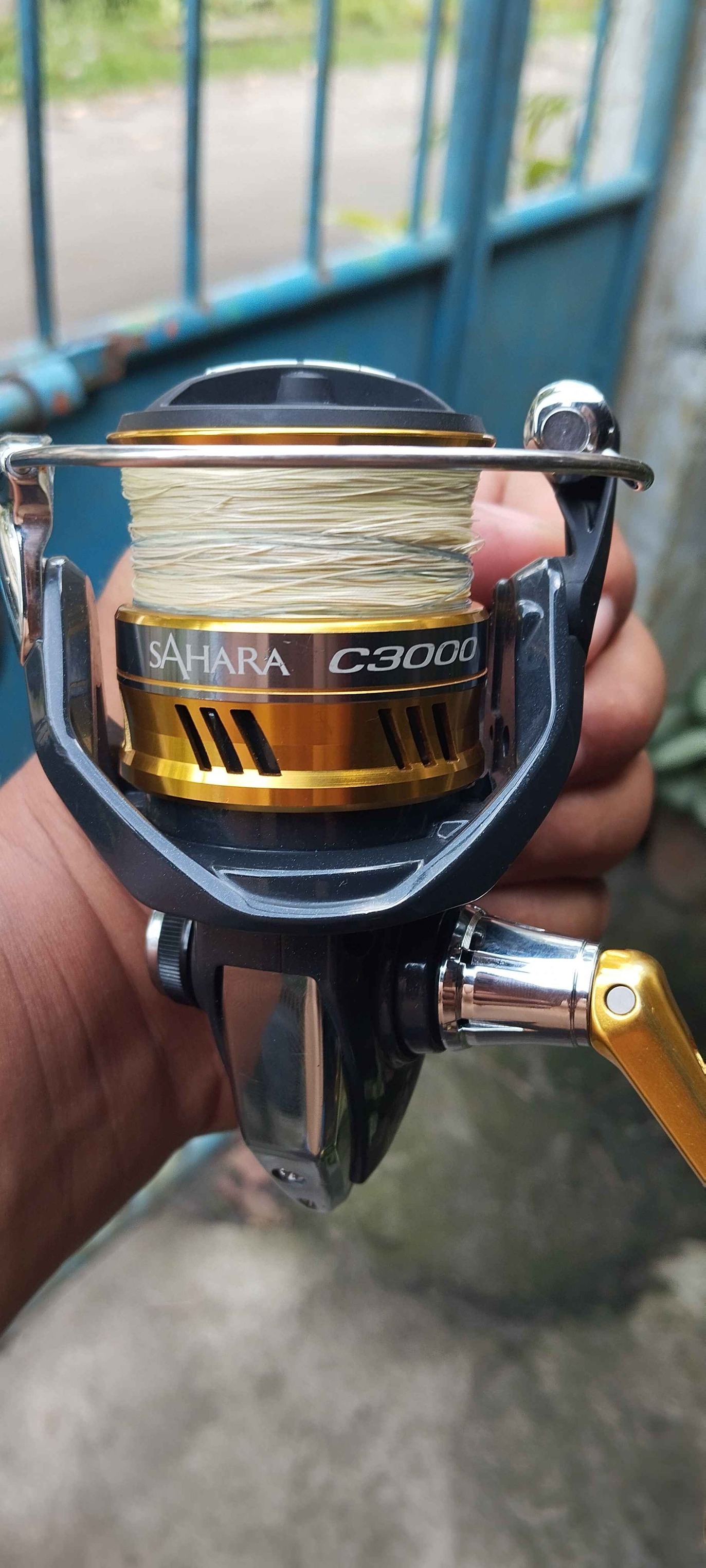 Shimano Sahara C3000HG Fishing Reel with 10lbs eastern braided line ...