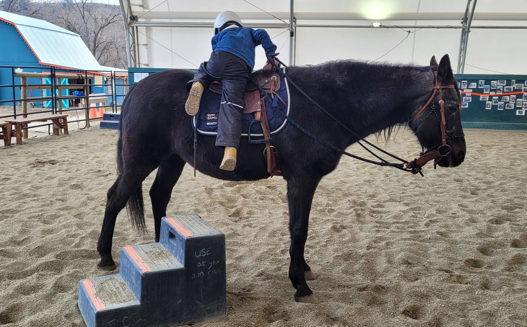 Riding 4 Life Equine Enterprises