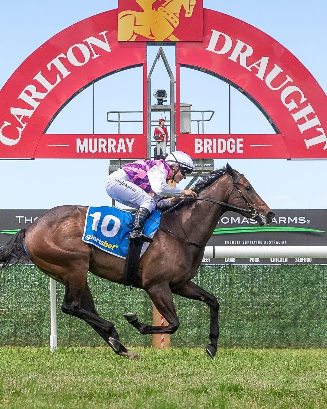 BROCK - Ascot 13/5 Dawn Armada finished 2nd after leading over her ...
