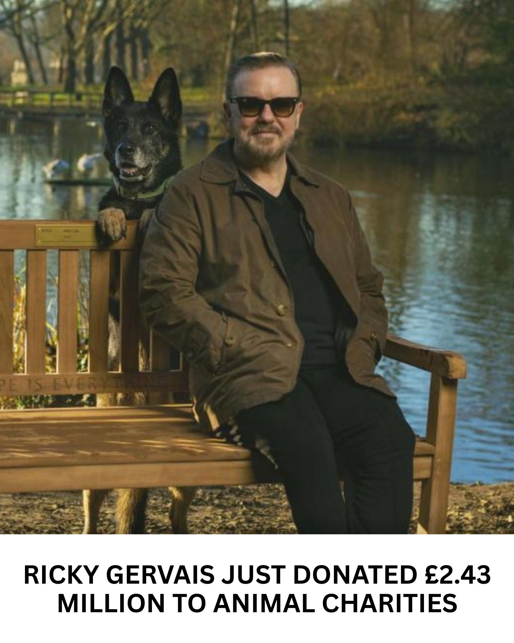 The Story - Ricky Gervais has announced a major charitable gesture this ...