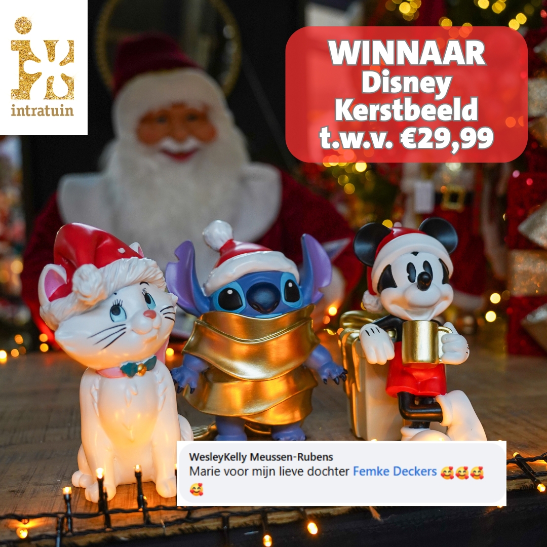 Intratuin - WINNAAR DISNEYBEELD! 🤩 Proficiat WesleyKelly Meussen-Rubens ...